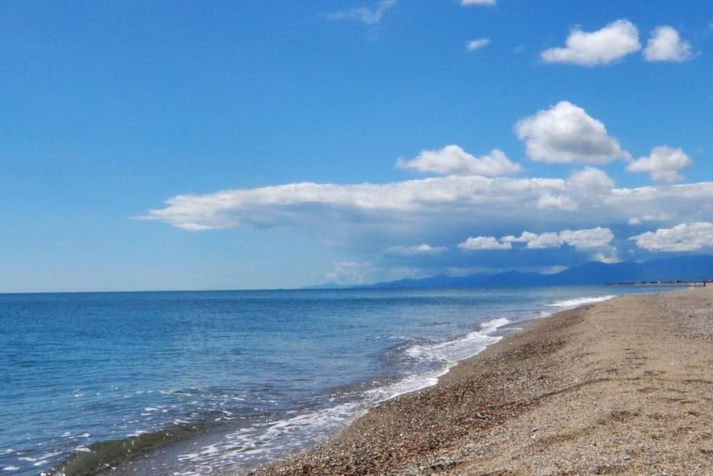 Petit Coin De Paradis A Port-leucate Leucate